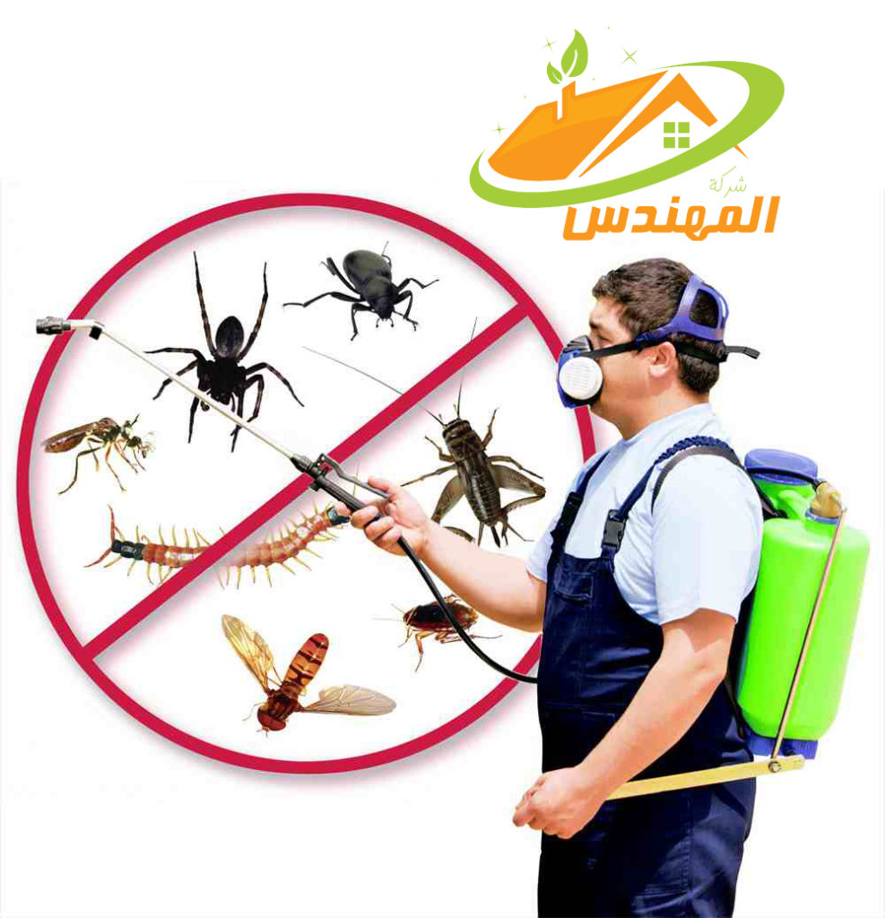 شركة مكافحة حشرات بالطائف