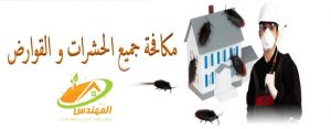 شركة مكافحة حشرات بالاحساء
