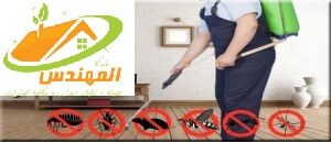 شركة مكافحة حشرات بالاحساء